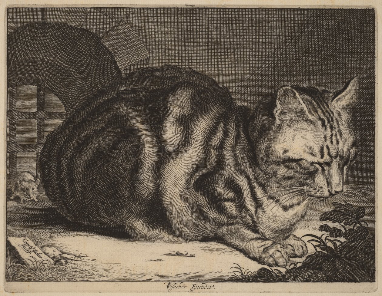 O grande gato de Cornelis Visscher