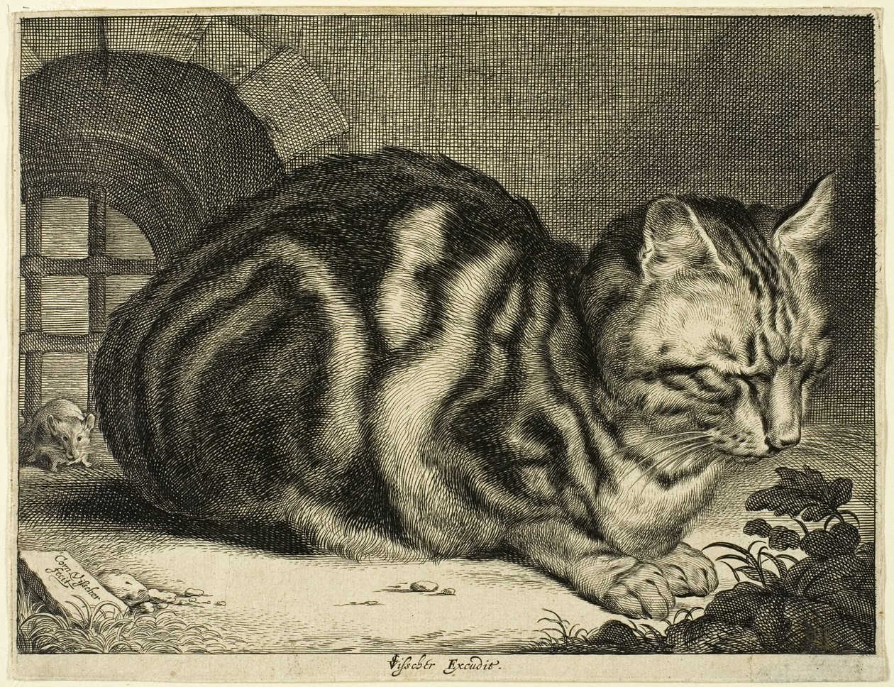 O grande gato de Cornelis Visscher