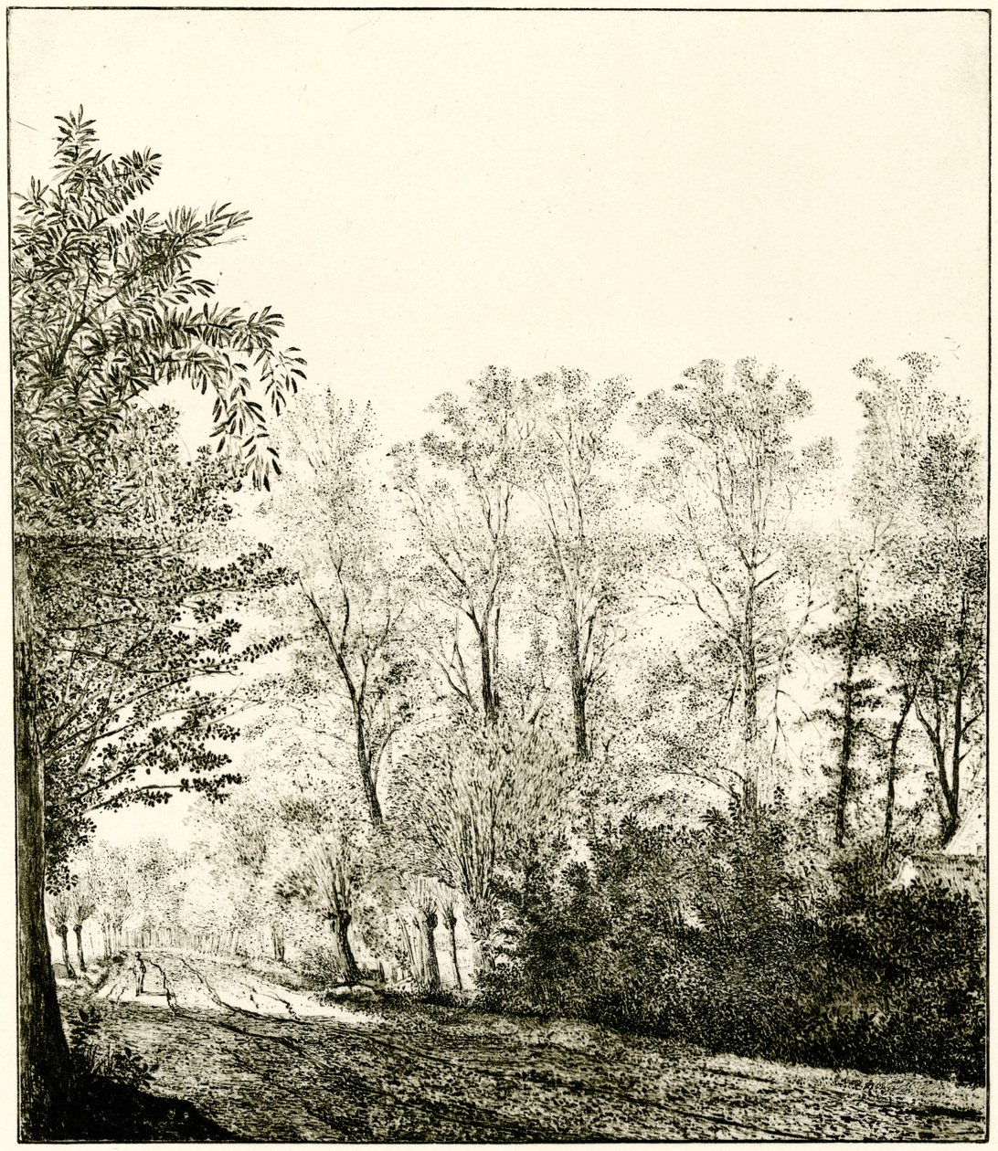 Trilha através de uma floresta de Hendrick Cornelisz. Vroom