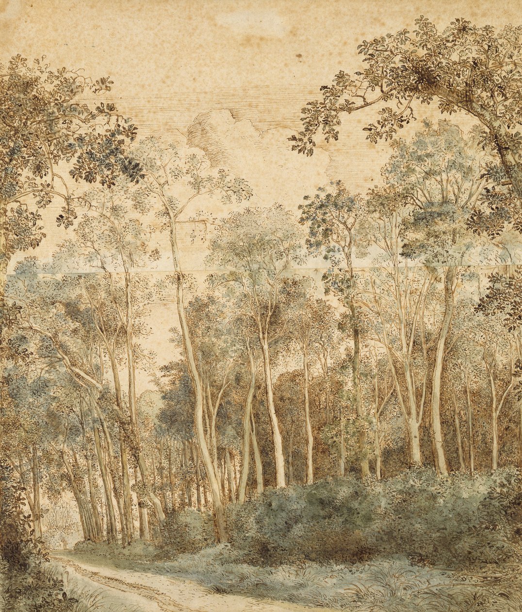 Paisagem arborizada (caneta e tinta marrom e wc no papel) de Hendrick Cornelisz. Vroom