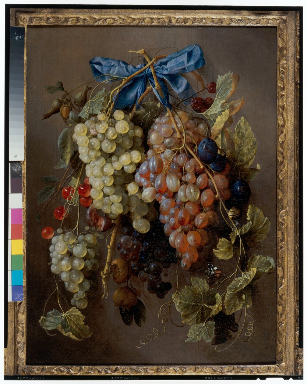Natureza morta de uvas, cerejas e ameixas penduradas num prego com uma fita azul de Cornelis de Heem