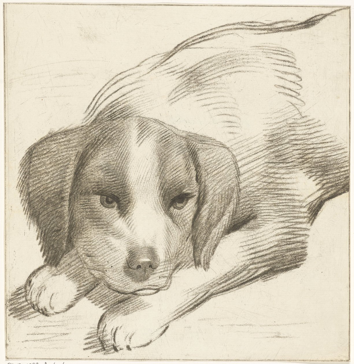 Cão reclinador de Cornelis van Noorde