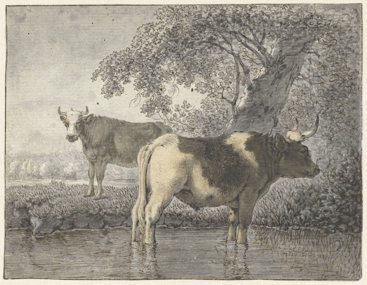 Duas vacas debaixo de uma árvore perto da água de Cornelis van Noorde