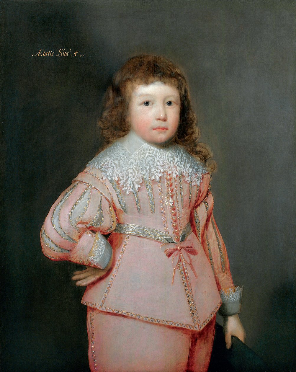 Retrato de um jovem garoto pensado para ser Lucius Cary, 3º Visconde Falkland, c.1637 de Cornelius Janssen van Ceulen