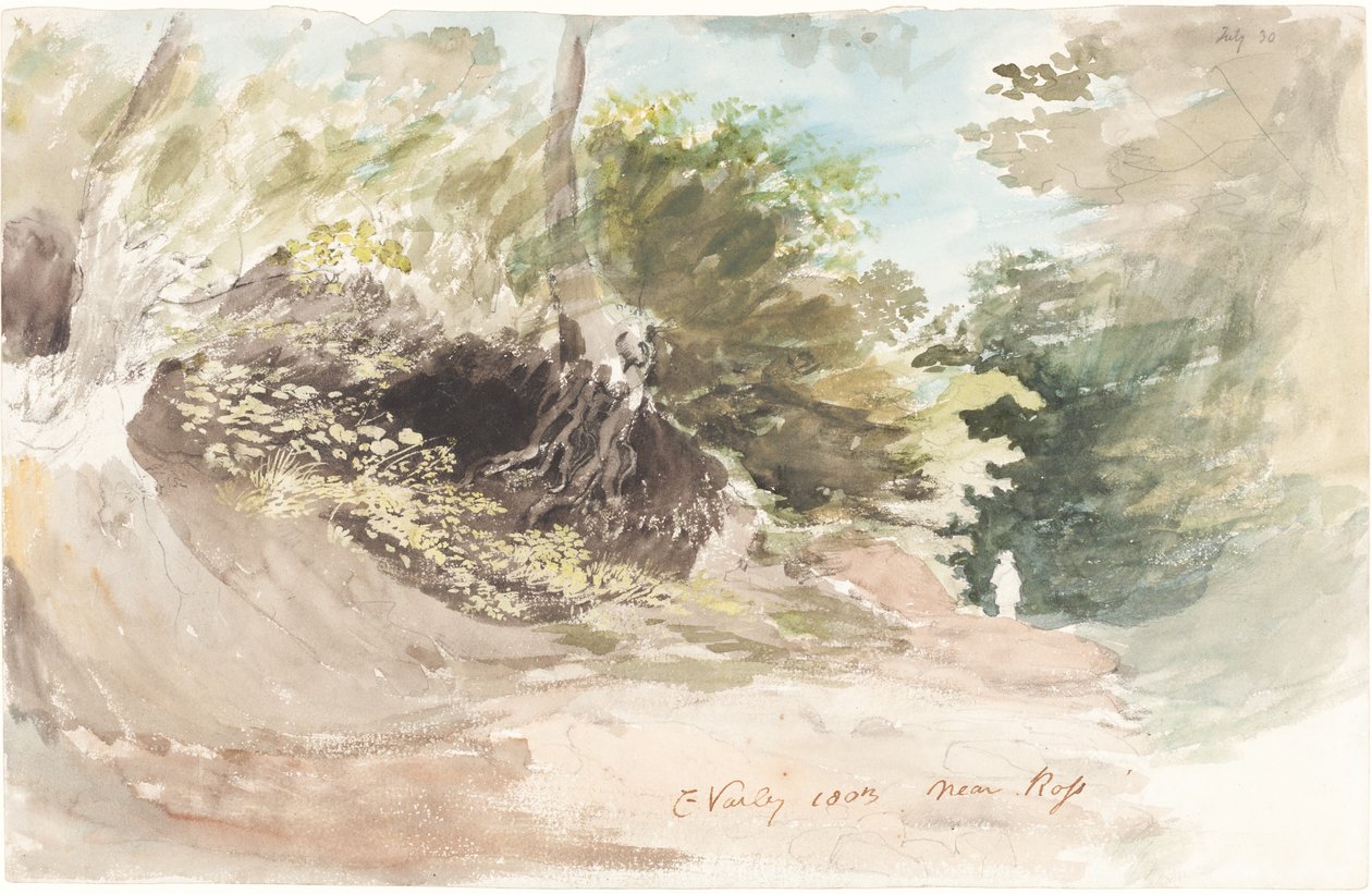 Uma pista arborizada perto de Ross de Cornelius Varley