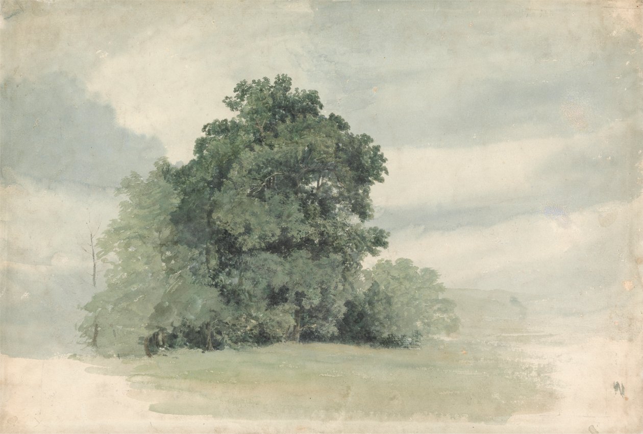 Estudo das árvores na orla de um campo de Cornelius Varley