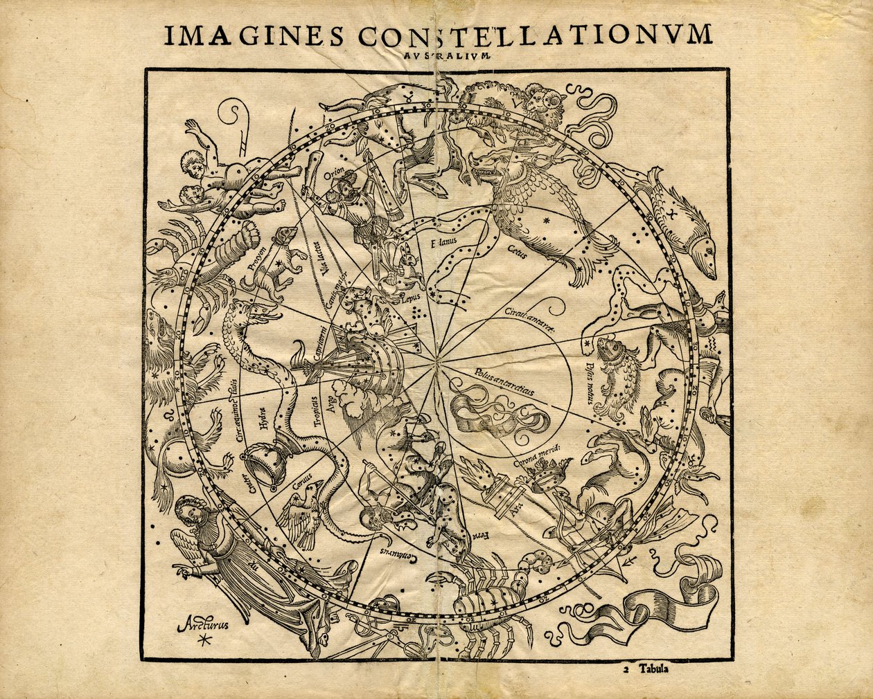 Imagina Constellationum Australium (Planisfério Celestial do Sul) de Coronensis & Petri Heinrich Honter