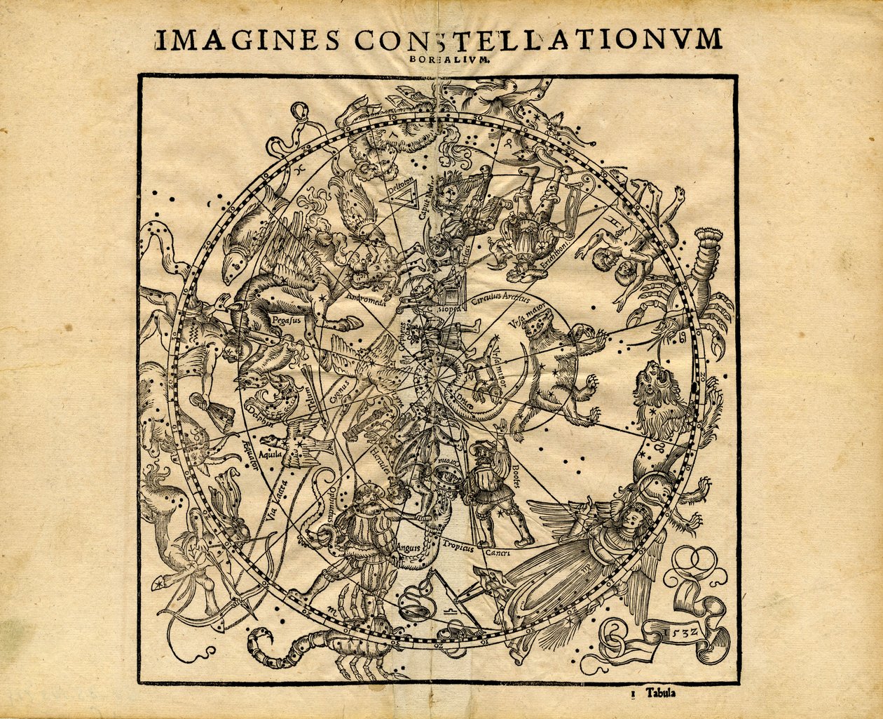 Imagina Constellationum Borealium (Planisfério Celestial Norte) de Coronensis & Petri Heinrich Honter