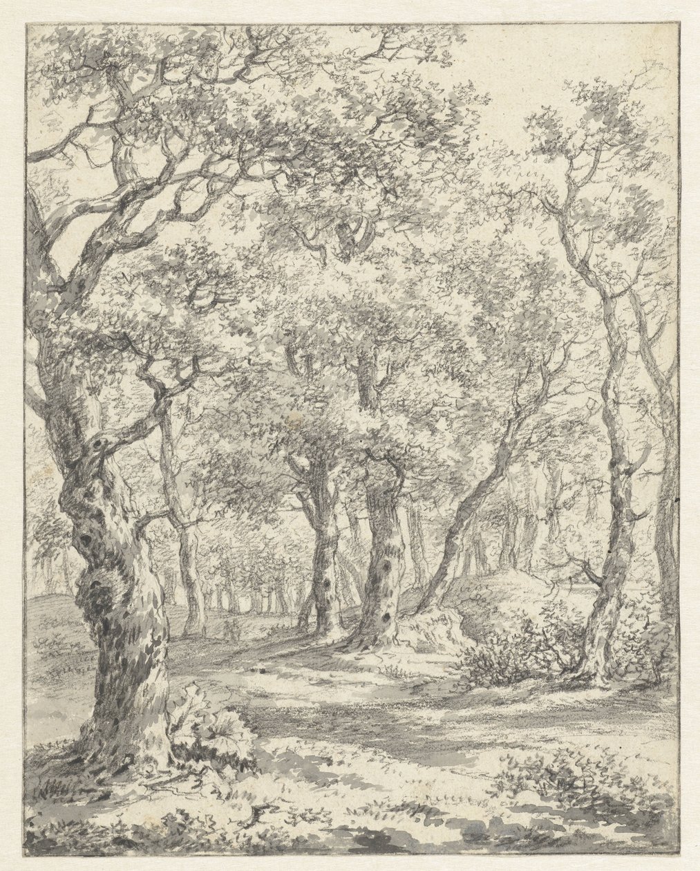 Paisagem florestal de Couwenhoven