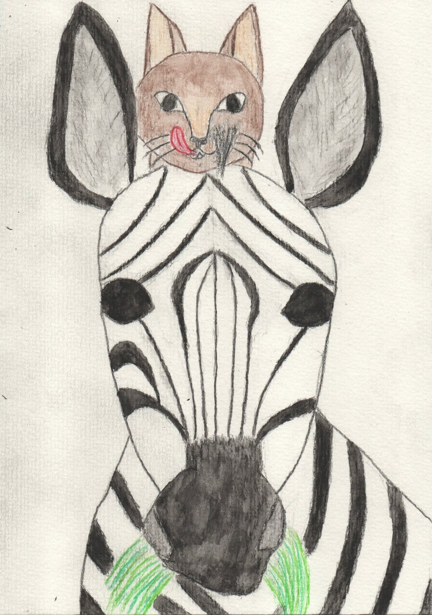 O meu amigo zebra de Crazy Artist