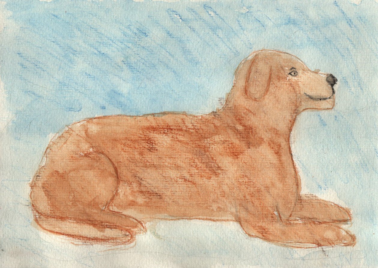 Sonhar com um cão de Crazy Artist