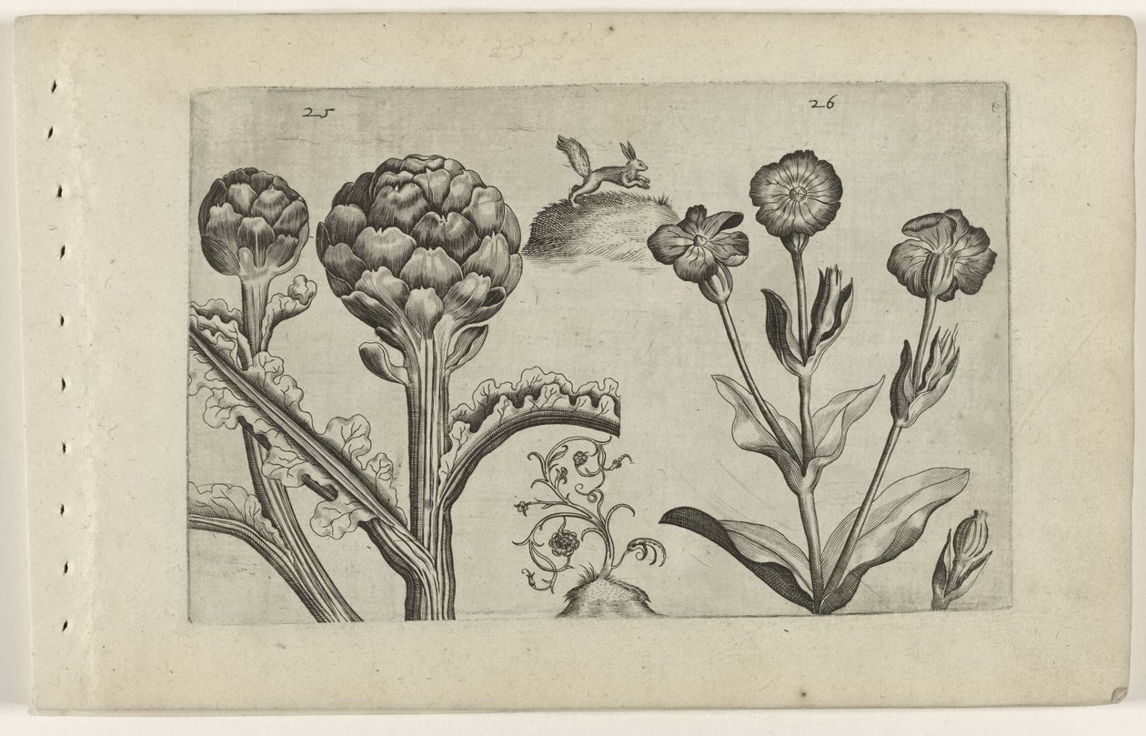 Artisjok en prikneus Conheça os Lírios (título da série) de Crispijn van de Passe (I) (attributed to)