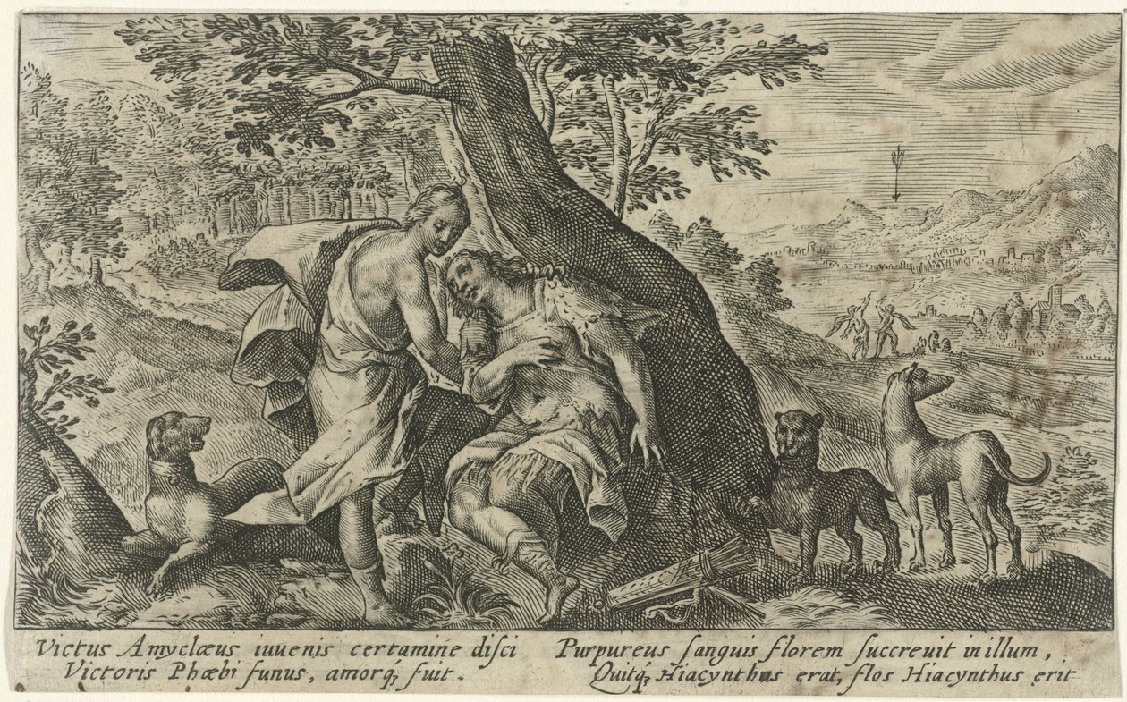 Apollo e Jacinto
Metamorfoses por Ovid (título da série) de Crispijn van de Passe (I)