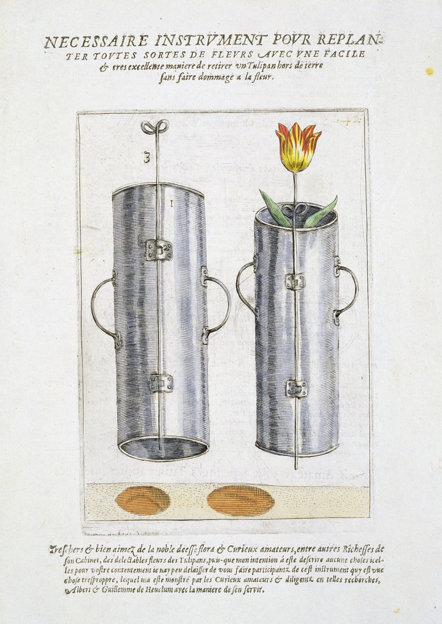 Dispositivo para replantação de flores, de &39;Hortus Floridus&39;, publicado em 1614-15 de Crispin  Passe