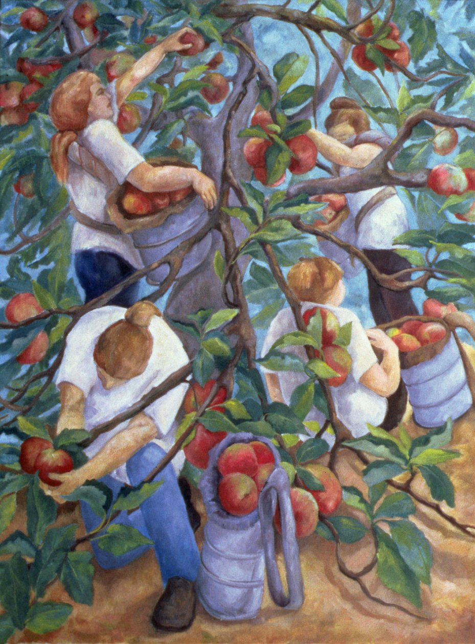 Apple Pickers, 1996 de Cristiana Angelini