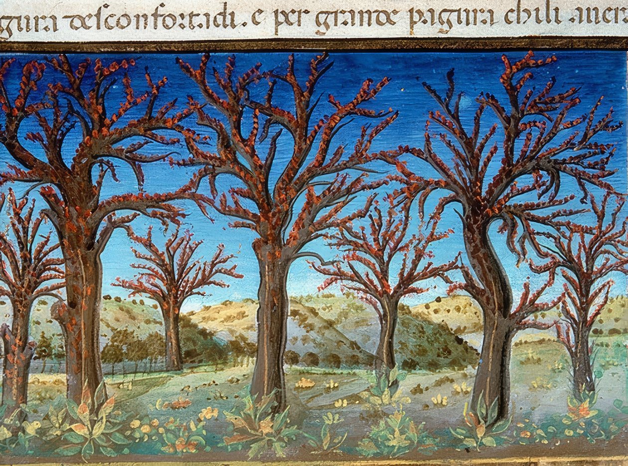 O fim do mundo: as árvores serão cobertas de sangue (c.147v). 1476 de Cristoforo De Predis