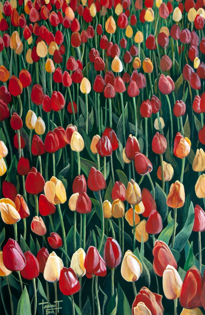 Tulipas, 2010 (acrílico sobre papel) de Cruz Jurado Traverso