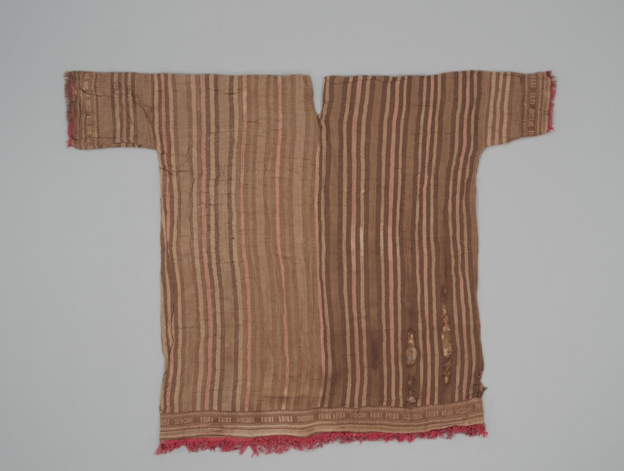Túnica com mangas, c.1300-1470 (algodão e fibra de camelídeo) de Culture Chimu