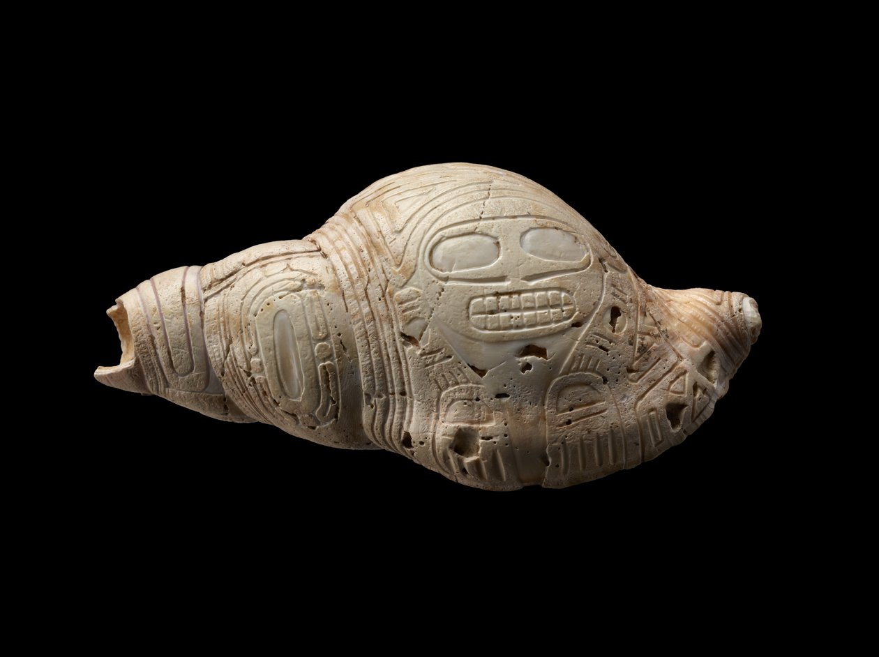 Concha Esculpida de Culture Taino