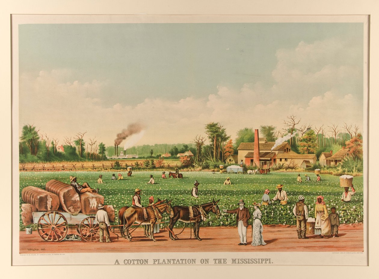 Uma Plantação de Algodão no Mississippi de Currier and Ives