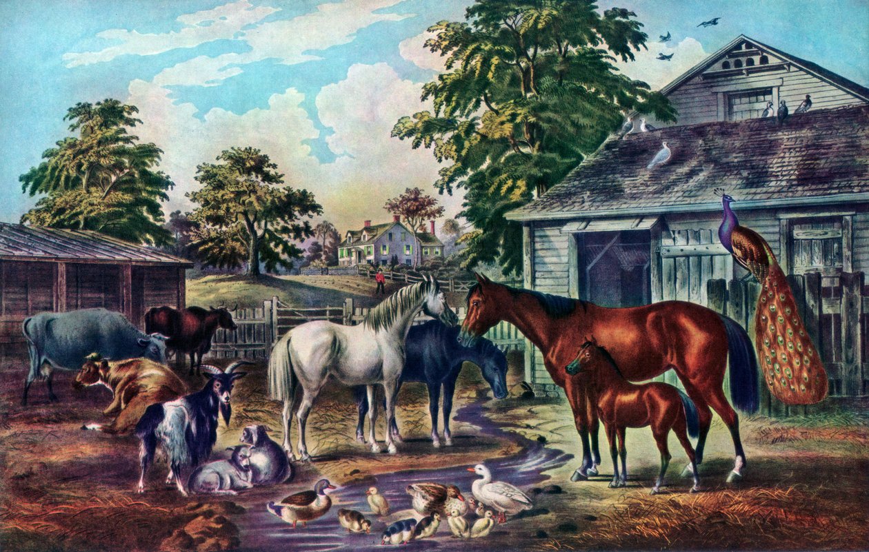 American Farm Yard pela manhã, 1857 de Currier and Ives