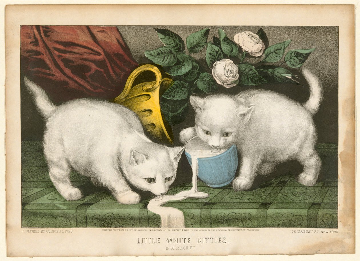 Gatinhos brancos em travessuras de Currier and Ives