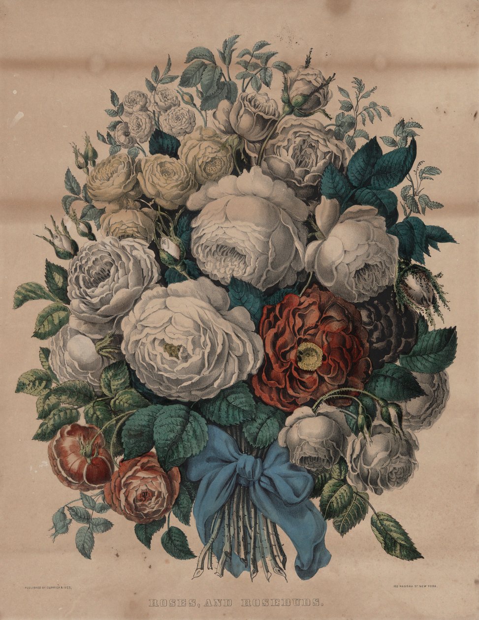 Rosas, e botões de rosa de Currier and Ives