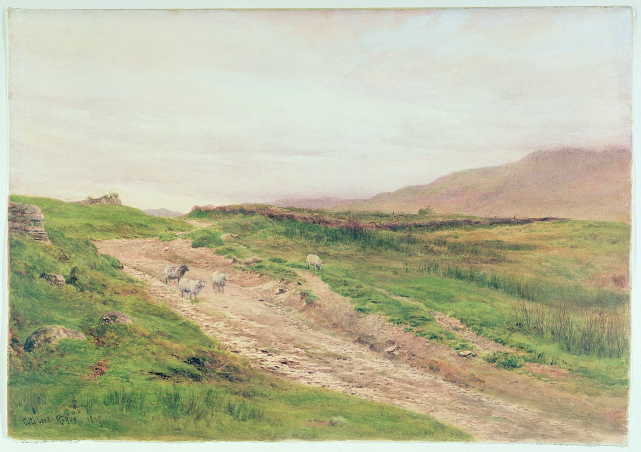 Lake District de Cuthbert Rigby