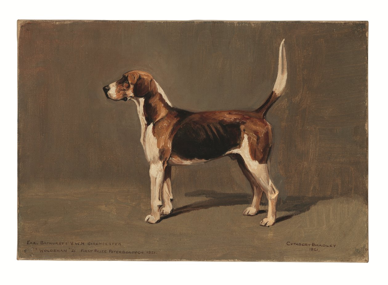 "Woldsman" de Cuthbert Bradley