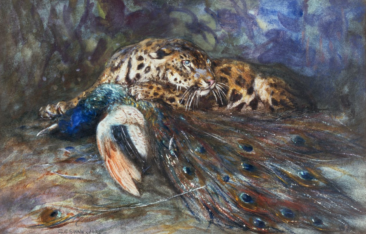 Jaguar com pavão de Cuthbert Edmund Swan