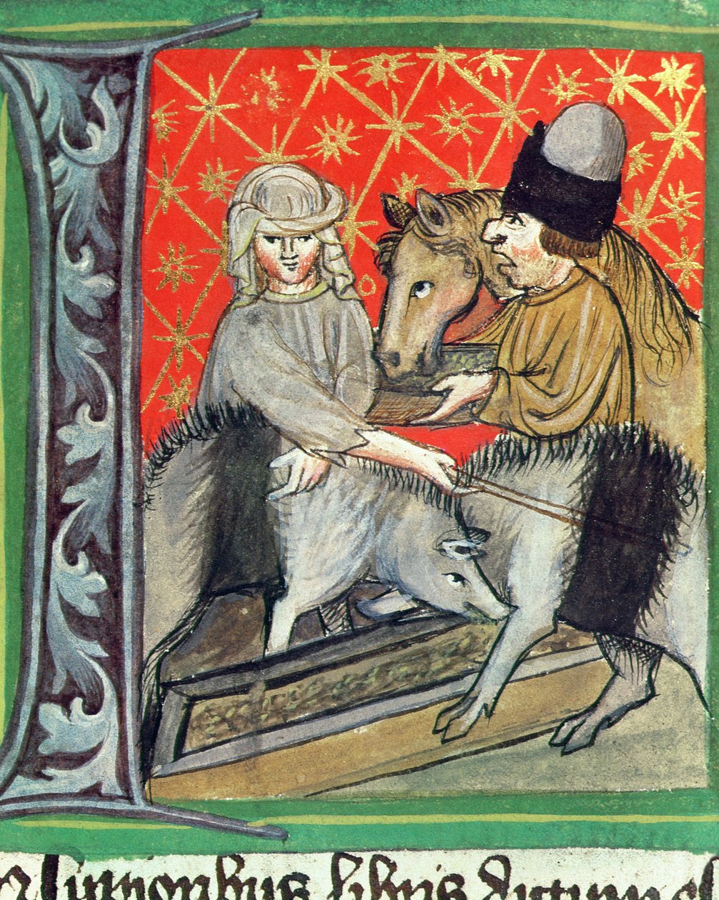 Breeding porcos e cavalos, dos interesses Ruralium trabalho Pietro Crescenzi (1230-1321) de Czech School