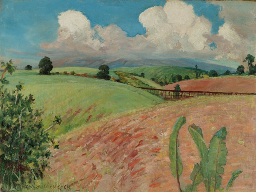 Canefields, Ilha Grande de D. Howard Hitchcock