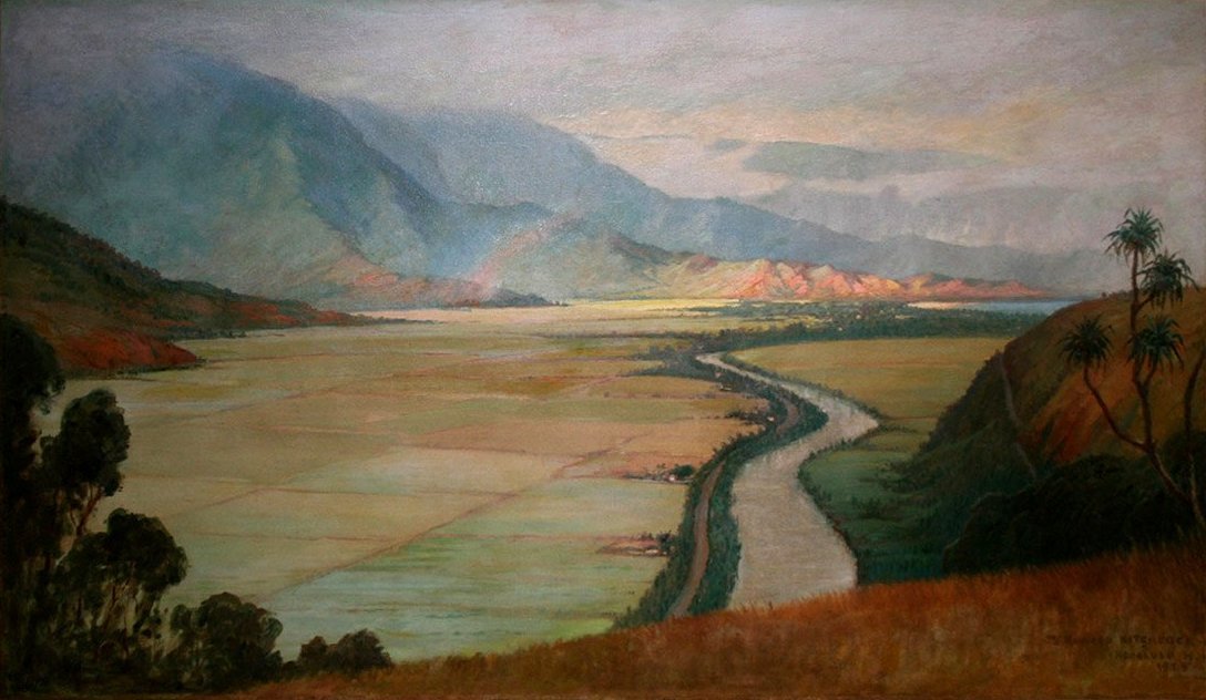 Vale de Hanalei de D. Howard Hitchcock
