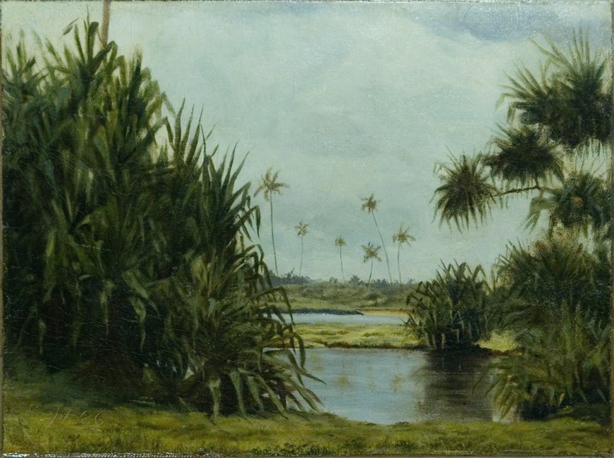 Baía de Hilo de D. Howard Hitchcock