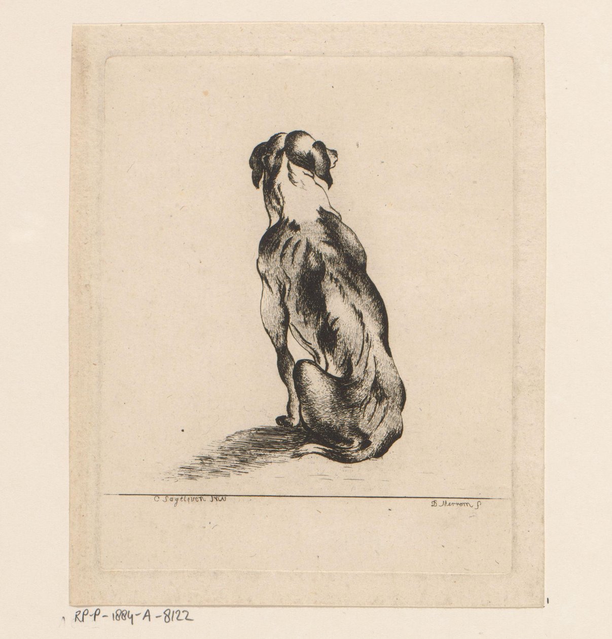 Cão sentado visto de costas de D. Merrem