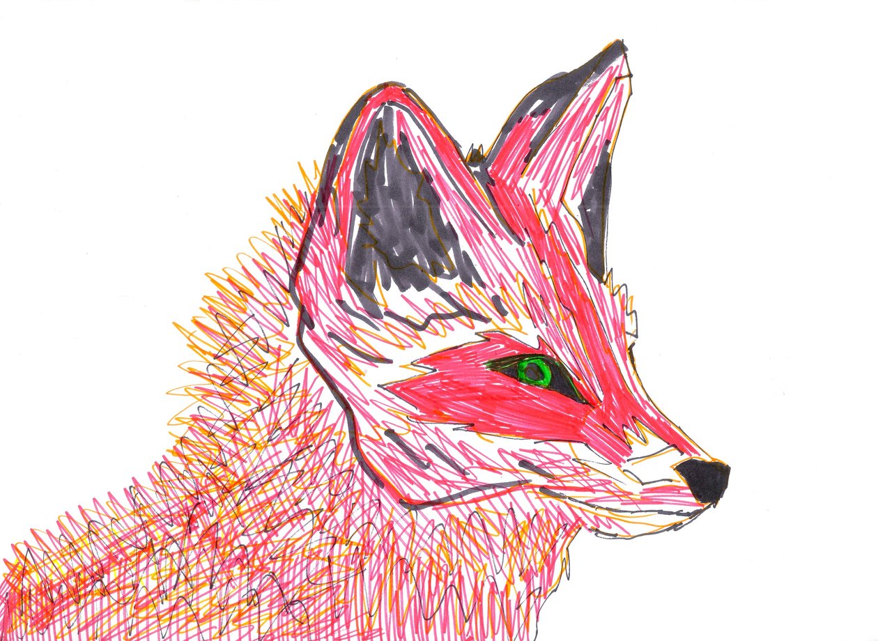 Raposa (ponta de feltro sobre papel) de Daisy de Villeneuve