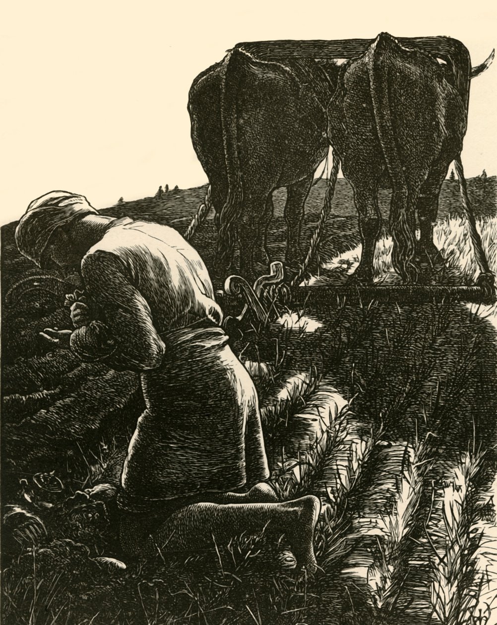 O tesouro escondido, 1864, 1928. de Dalziel Brothers