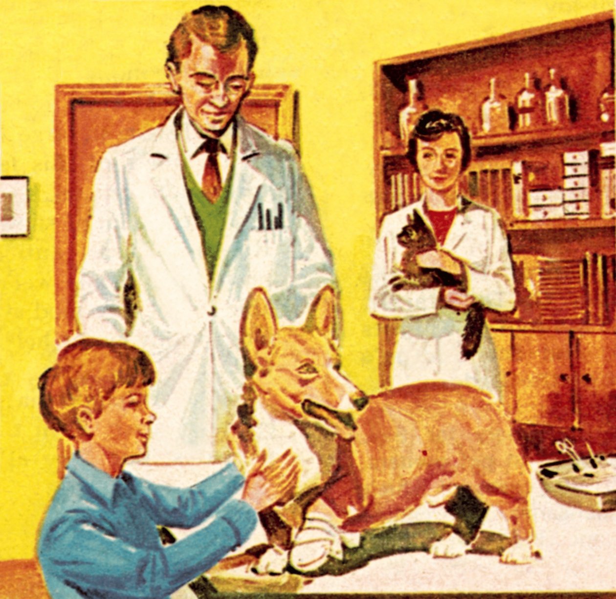 Clínica do Dispensário Popular para Animais Doentes de Dan Escott
