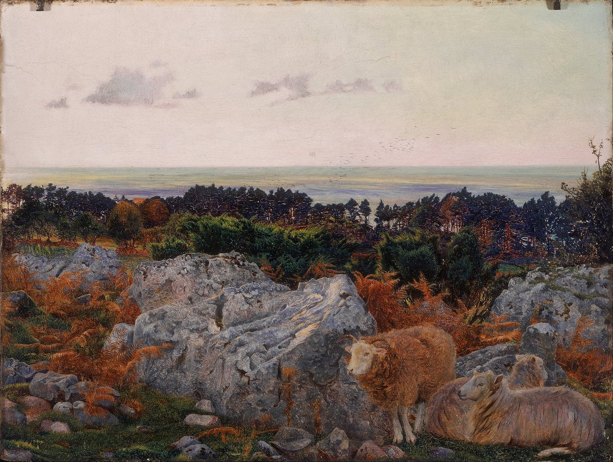 Baía de Morecambe from Warton Crag de Daniel Alexander Williamson