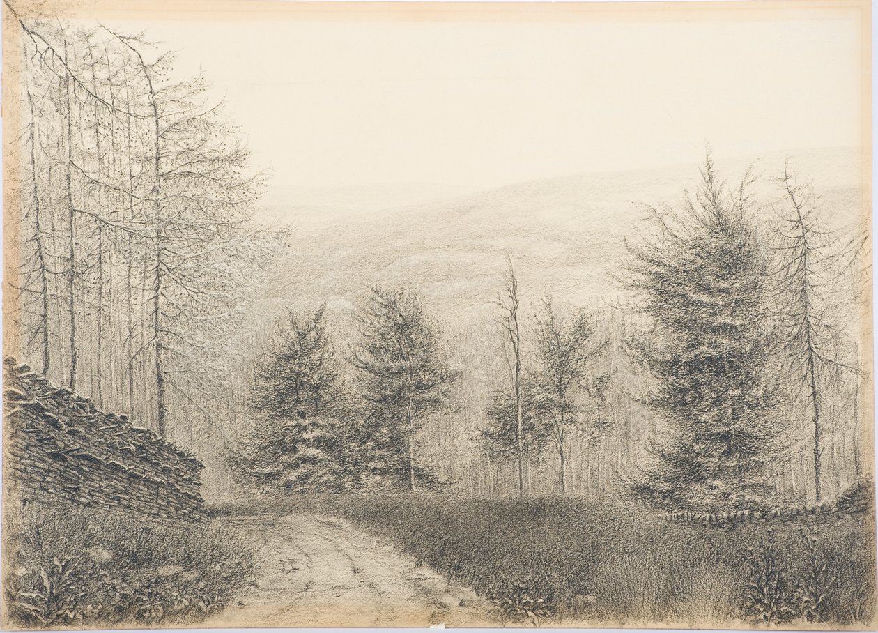Ponte Egglestone, Teesdale, c.1916 (lápis preto no cartão) de Daniel Oliver
