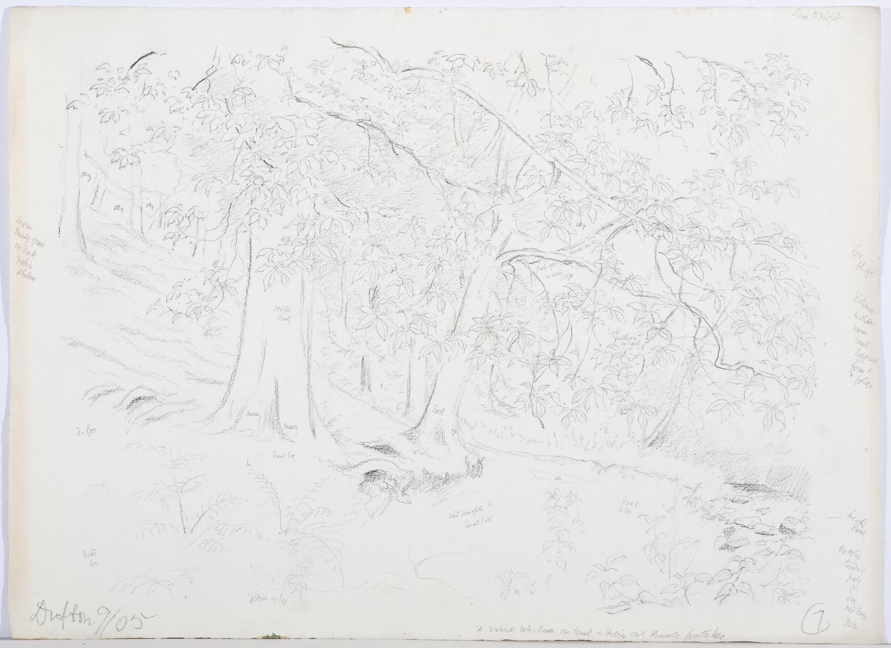 c.1916 (lápis e wc no papel) de Daniel Oliver