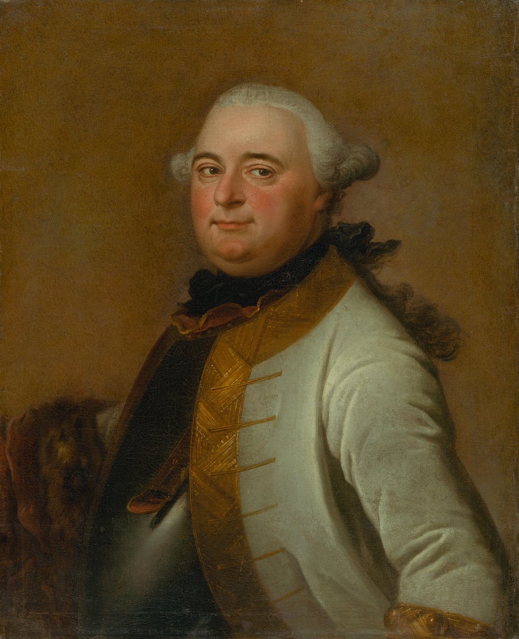 Retrato do Marechal de Campo Mikuláš Mednyánszky de Daniel Woge