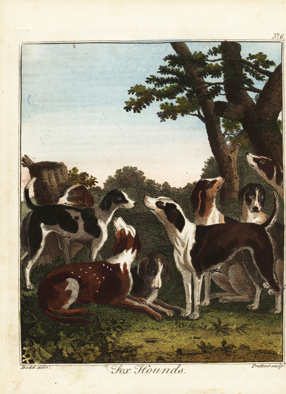 Um bando de cães de raposa antes de uma caçada de Daniel (after) Dodd