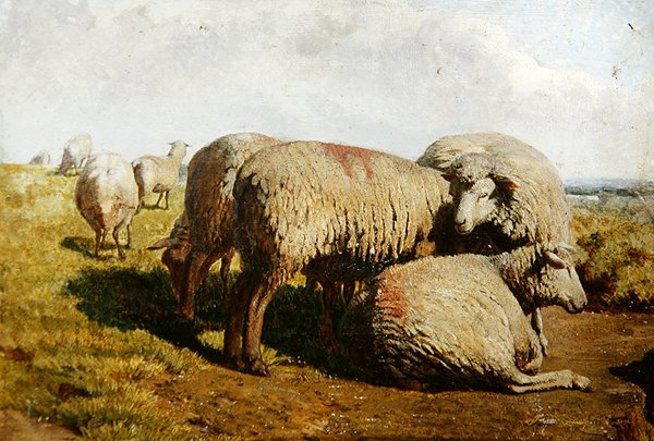 Um Grupo de Ovinos de Daniel Alexander Williamson