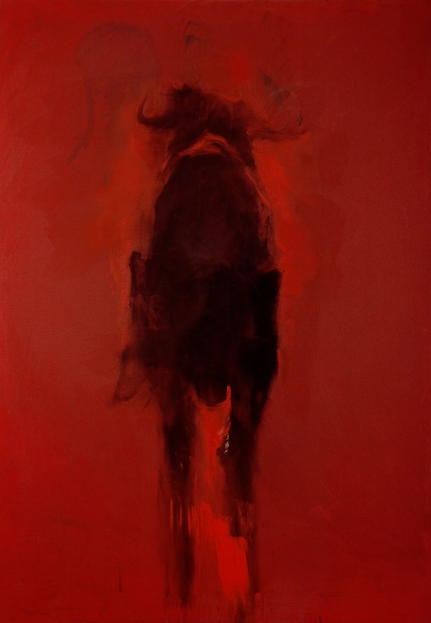 Touro de Daniel Cacouault