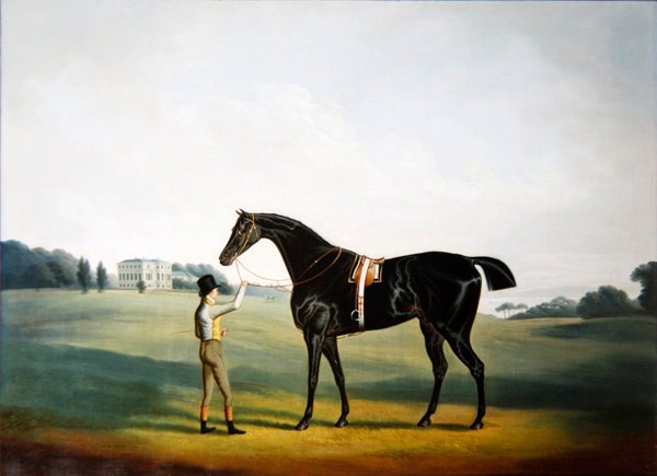 Um cavalo e um noivo nos terrenos de Hooton Hall, Cheshire de Daniel Clowes