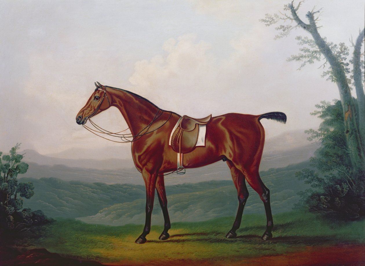 Retrato de um cavalo de corrida de Daniel Clowes