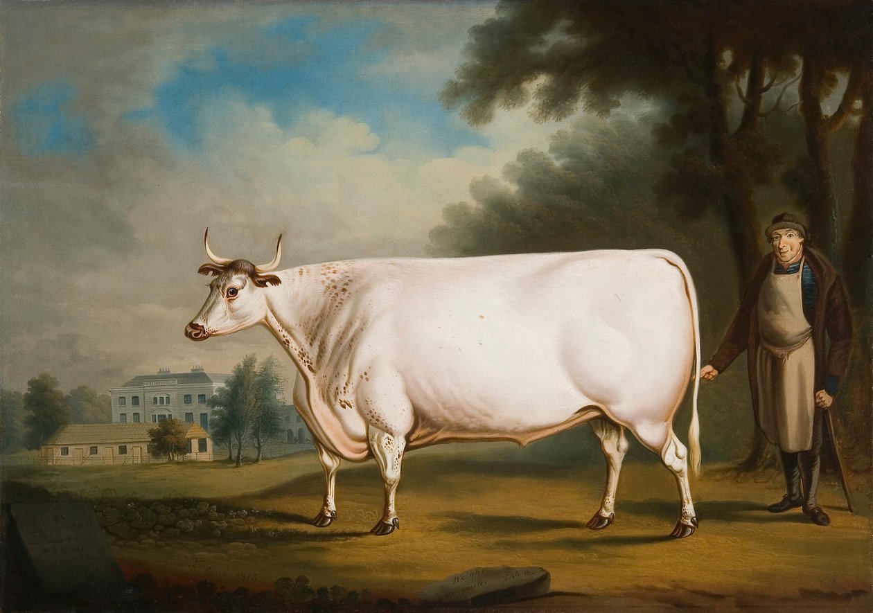 "O Boi Nannau", 1824 de Daniel Clowes