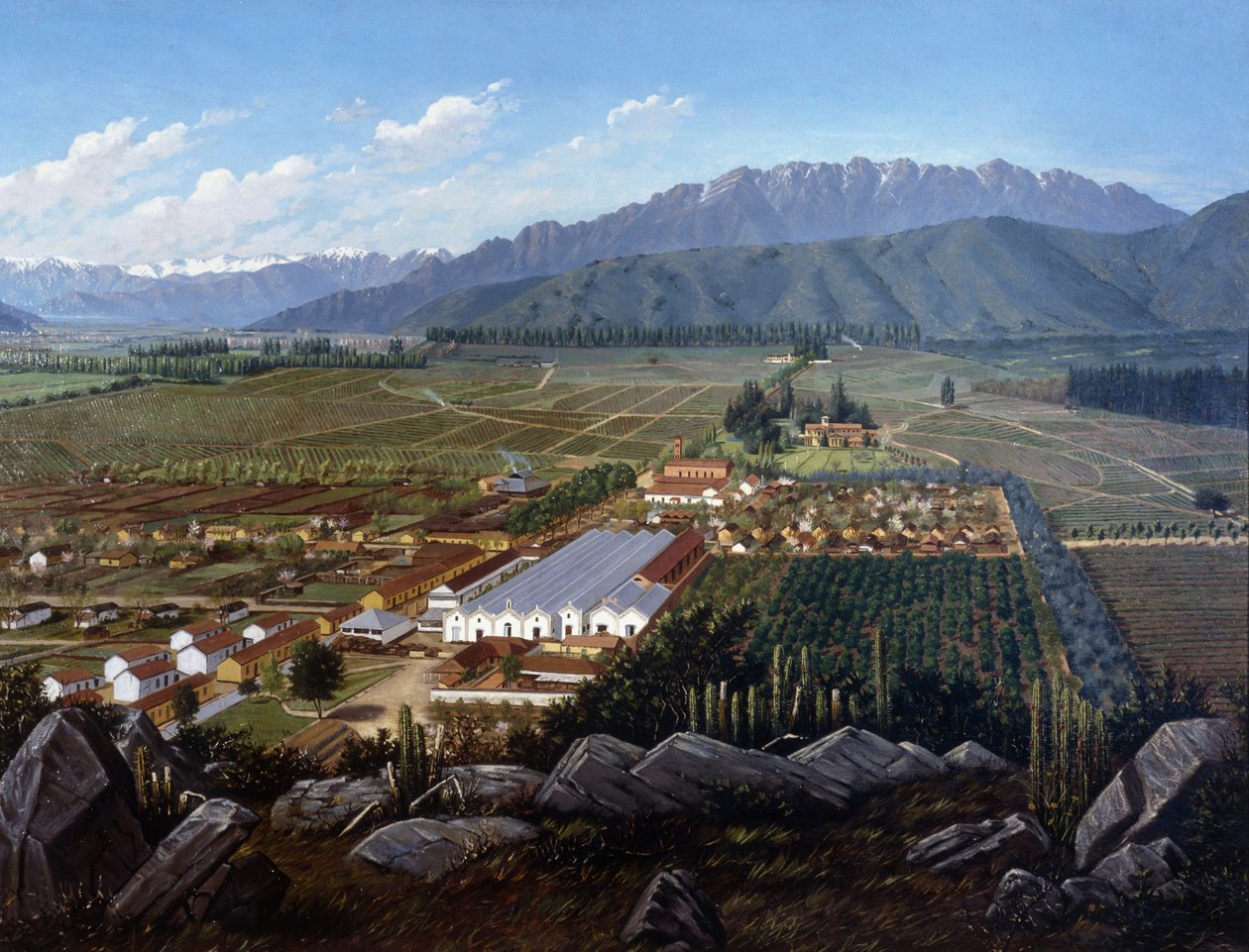 A vinha de Erranzuriz-Panquehue, Chile, 1896 de Daniel Escobar