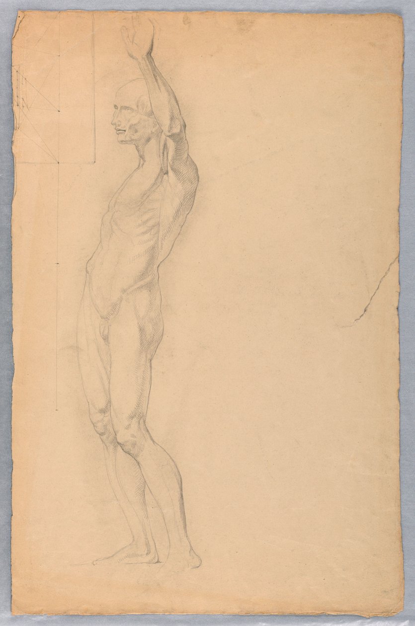 Desenho, Estudo anatómico de um homem, ca. 1850 de Daniel Huntington